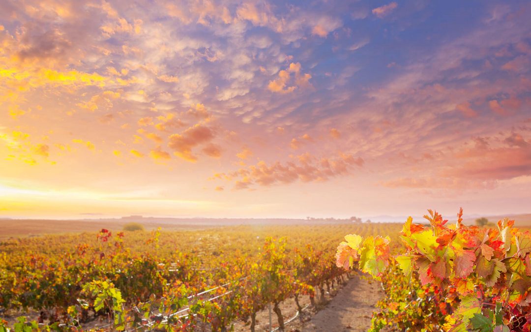 Atascadero California